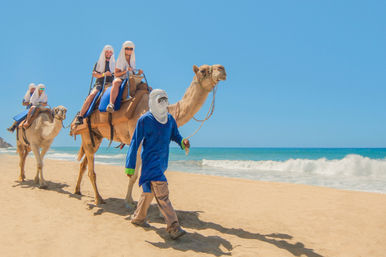 Baja Safari: Beach Camel Ride, Nature Walk, Mexican Buffet Lunch & Tequila Tasting image 5