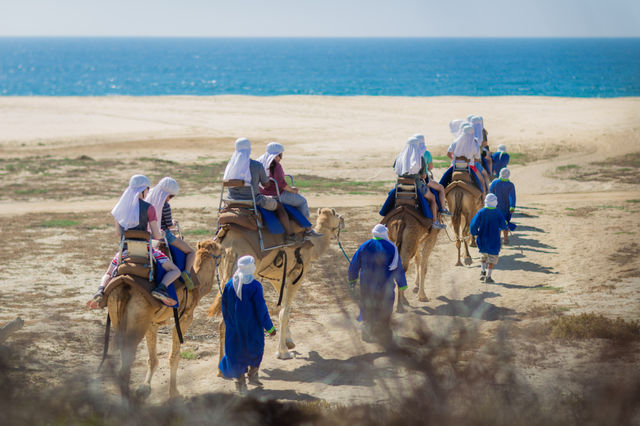 Baja Safari: Beach Camel Ride, Nature Walk, Mexican Buffet Lunch & Tequila Tasting image 3