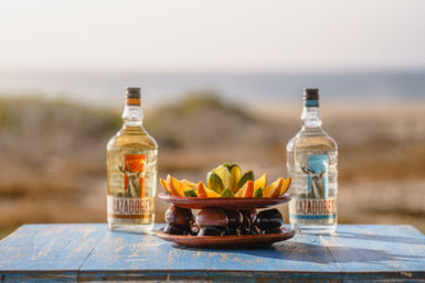 Baja Safari: Beach Camel Ride, Nature Walk, Mexican Buffet Lunch & Tequila Tasting image 16