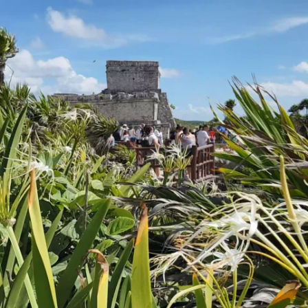 Tulum Mayan Ruins, Ziplines, Underground Cenote Swim + Lunch image 6
