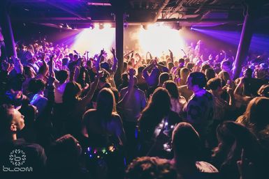Gaslamp Party Pass Experience: 15 Clubs in 1 Night image 5