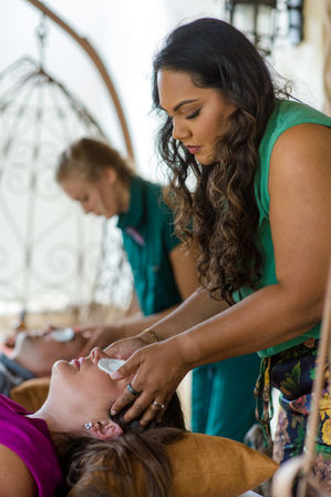 The Ayurvedic Royals: Rituals for Health & Wellness image 1