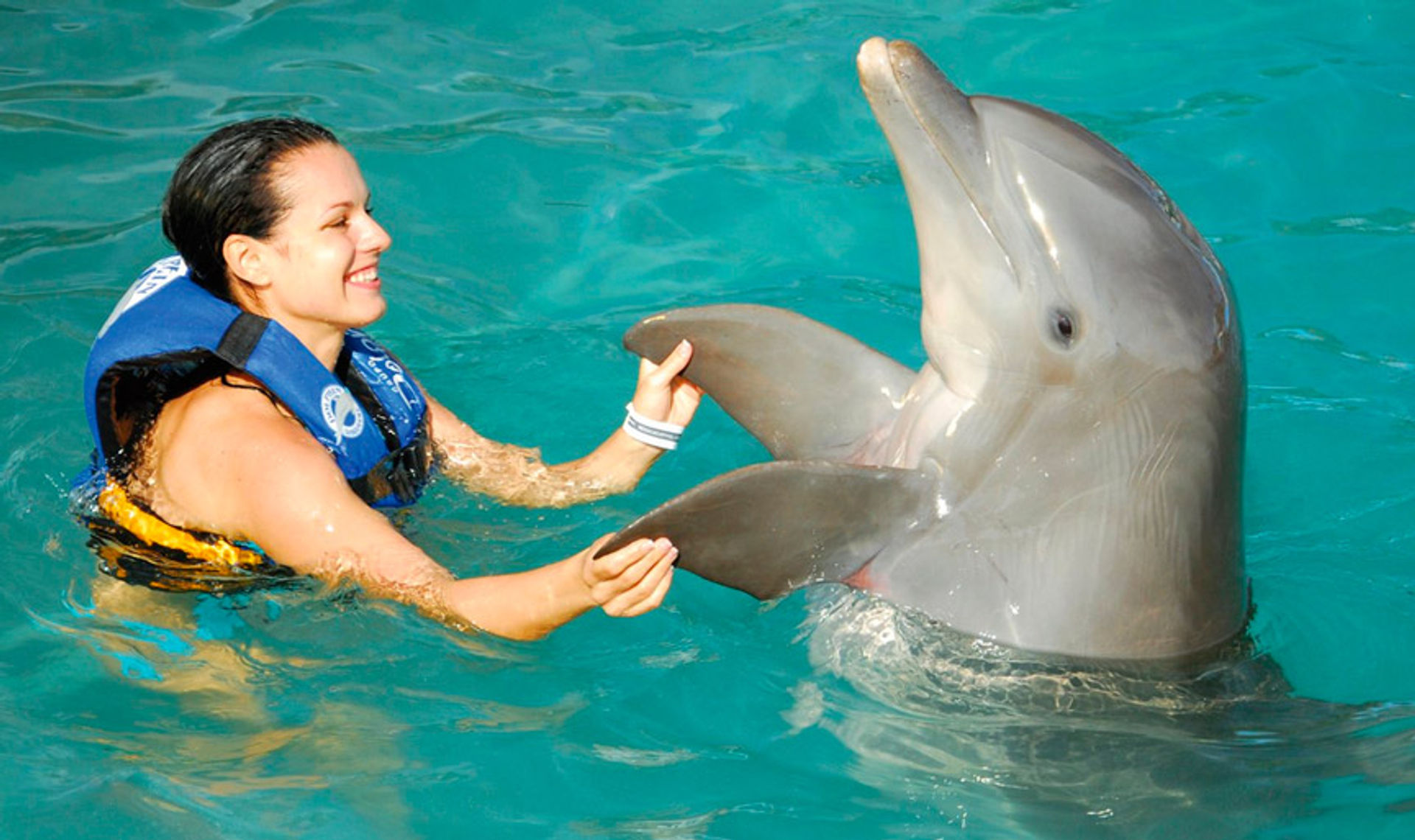 Catamaran Sail, Snorkel & Dolphin Swim on Isla Mujeres image 1