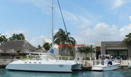 Catamaran Sail, Snorkel & Dolphin Swim on Isla Mujeres image 5