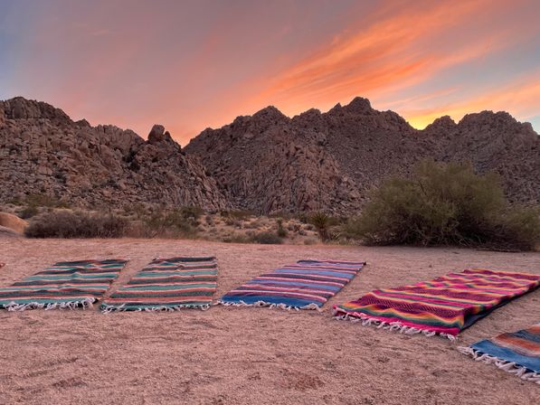 Desert Nature Walk + Intention Setting Cacao Ceremony + Soundbath Meditation image 16