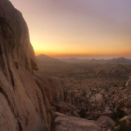 Desert Nature Walk + Intention Setting Cacao Ceremony + Soundbath Meditation image 9