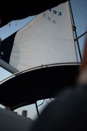 Sail the City. See the Lights - Bachelorette, Proposals, Birthday, Anniversary, Friends & Family image 9