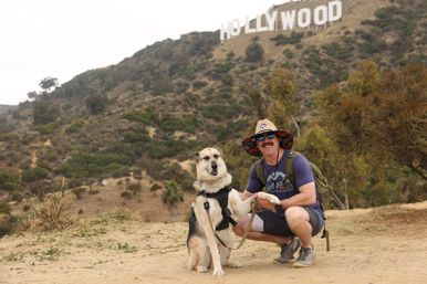 Hollywood Sign Tour: Hike with a Comedian Guide and Their Dogs image 2