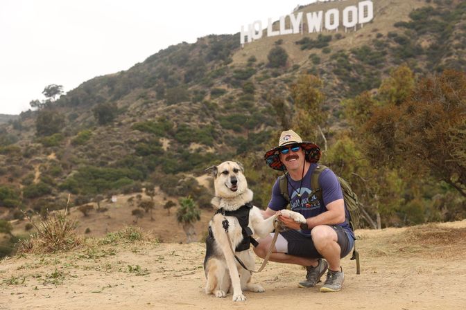 Hollywood Sign Tour: Hike with a Comedian Guide and Their Dogs image 2