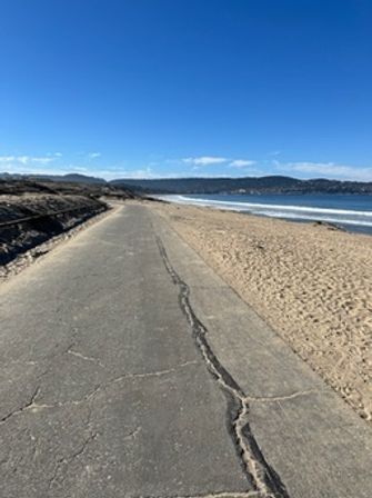 E-Bike Tour: 8-Mile Spin through Monterey’s Historic Cannery Row image 4