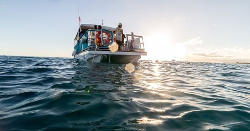 Private Boat Party Rental with DJ, Open Bar, & More (Up to 40 Party People) image 7