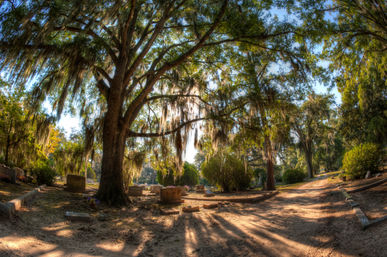 Savannah's Bonaventure Cemetery Tour: Haunting Histories Beneath the Spanish Moss  image 3
