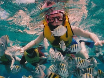 Snorkeling on Luxury SUV of the Seas: The SeaEO III image 2