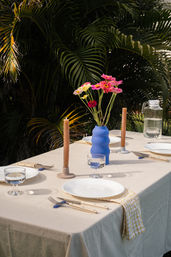 Luxury Pop-Up Picnic: Curated Tablescapes & Setup image 5