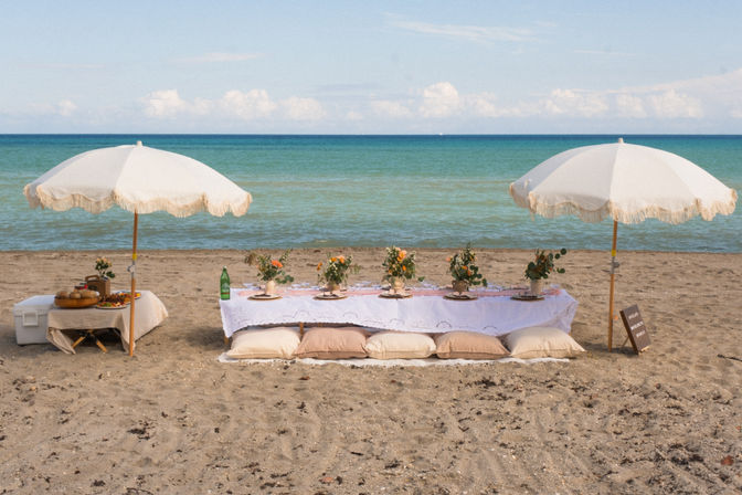 Luxury Pop-Up Picnic: Curated Tablescapes & Setup image 5