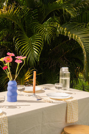 Luxury Pop-Up Picnic: Curated Tablescapes & Setup image 2