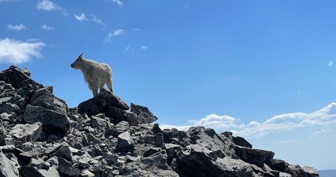 Guided Peak Ascents with Breathtaking Views  image 6