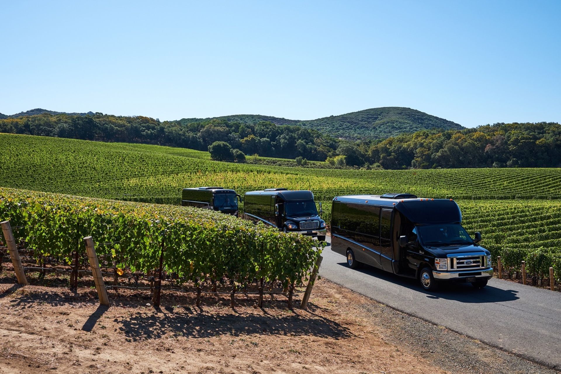 Napa Valley Wine Tour with Luxury Transportation & Complimentary Drinks Included image 1