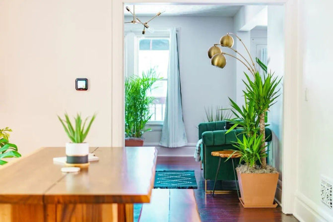 Jungle Casa: Stylish Upstairs Retreat with Private Patio image 34
