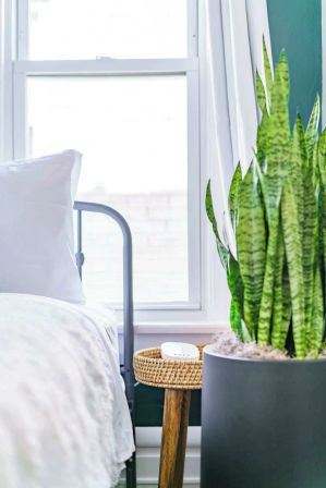 Jungle Casa: Stylish Upstairs Retreat with Private Patio image 37
