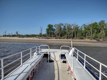 Boat Cruise Trip To Secluded Island Beach with Dolphin and Wildlife Spotting (BYOB) image 3