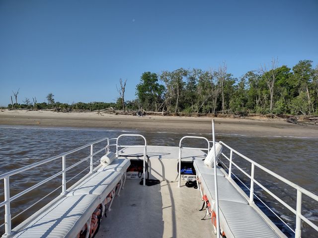 Boat Cruise Trip To Secluded Island Beach with Dolphin and Wildlife Spotting (BYOB) image 3