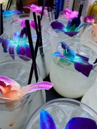 Top-Notch Private Bartenders & Event Staff for Every Occasion image 11