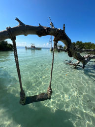 Rope swing tied to a weathered driftwood branch over a crystal-clear turquoise lagoon, sunlit sand ripples, anchored boats and mangroves under a bright blue sky — tropical beach vibe.