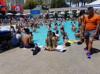 VIP's ONLY: Vegas Day Club Crawls with Party Bus Transportation, Drink Specials, No Lines & No Covers image 6