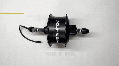 36V 250W Fat Bike Hub Motor