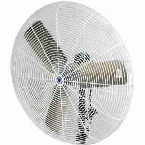 Schaefer Circulation Fan Head - Mist Fan