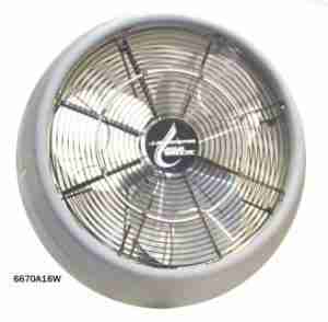 Misting Fan