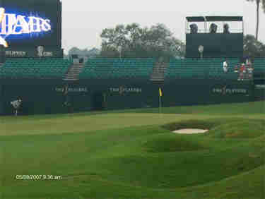 BIG FOGG TAKES ON THE PGA