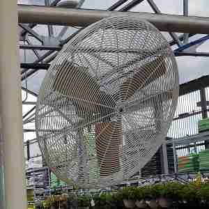 30” Circulation Fan, White OSHA Guards installed in a greenhouse plantation
