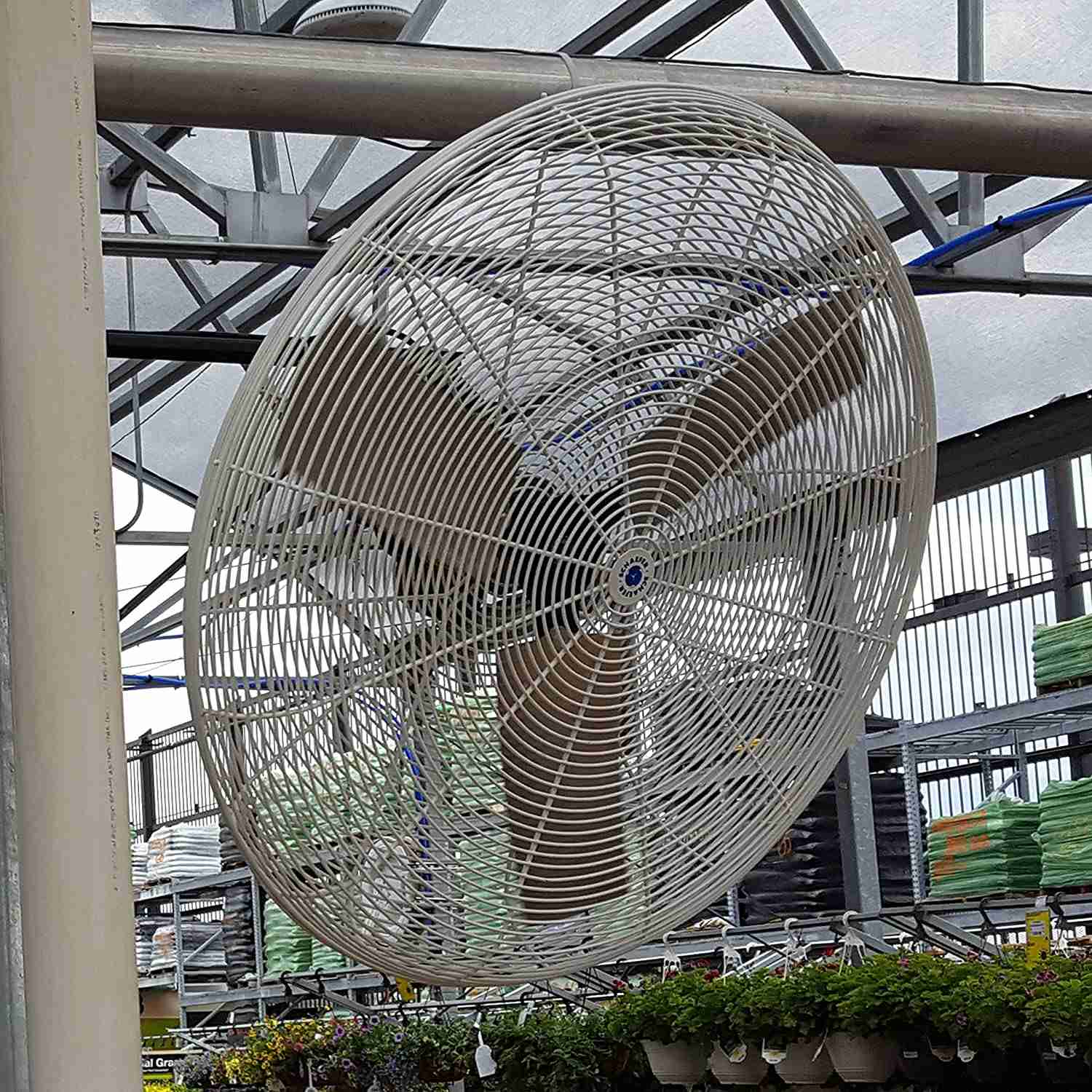 30” Circulation Fan, White OSHA Guards installed in a greenhouse plantation