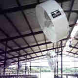 many 42” Versa-Kool Circulation Fan, Cord, Yoke Mount fitted on the ceiling of a factor warehouse