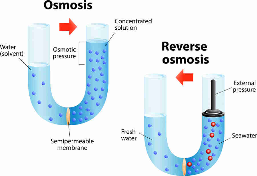 An image describing Osmosis and Reverse Osmosis in diagrams