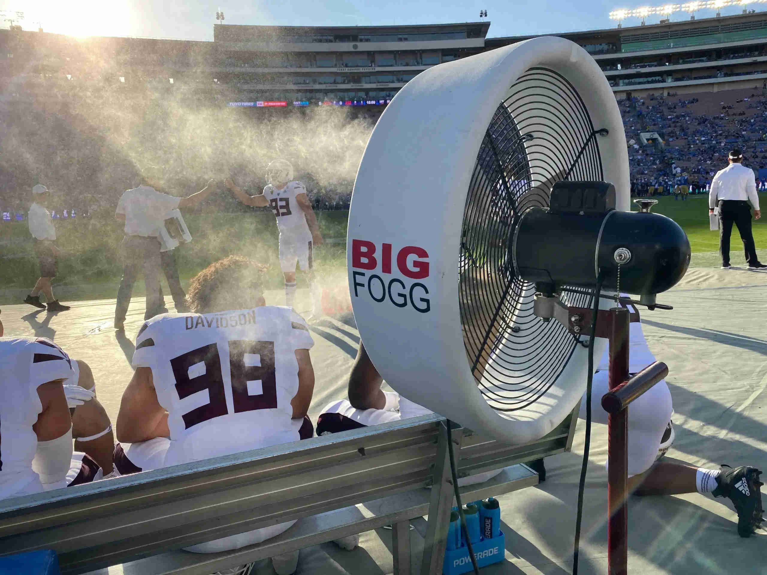 The Rise of Big Fogg