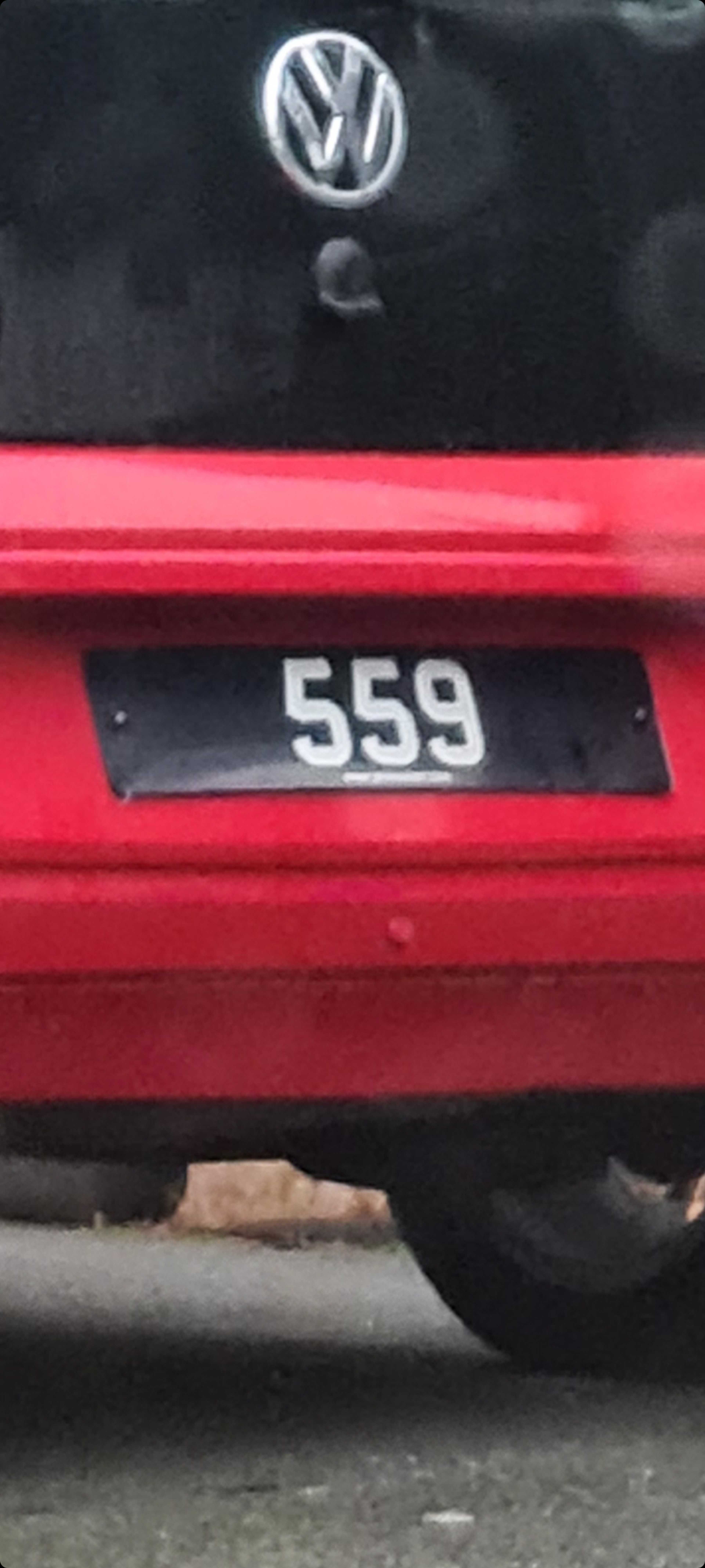 Registration 559