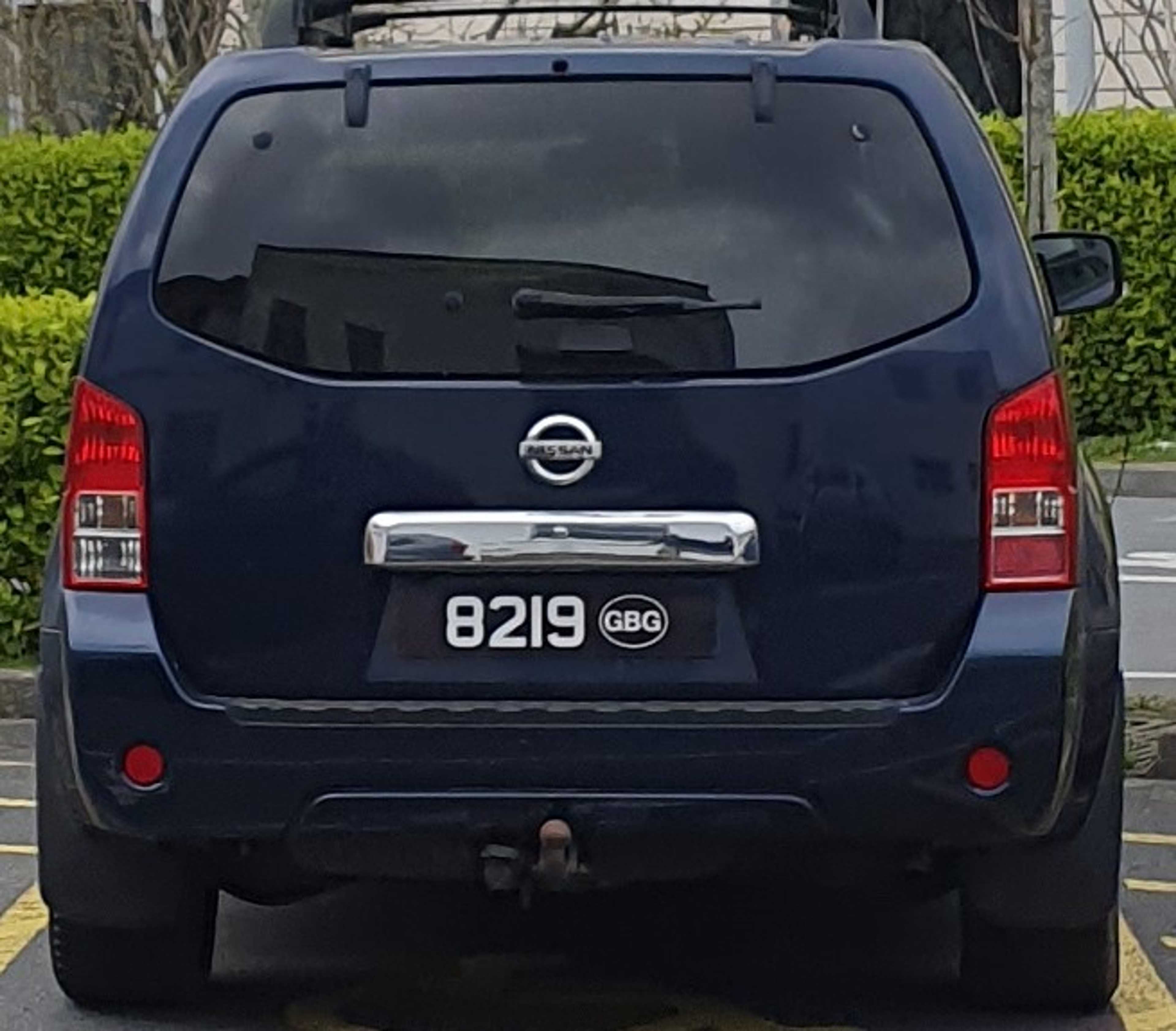 Registration 8219