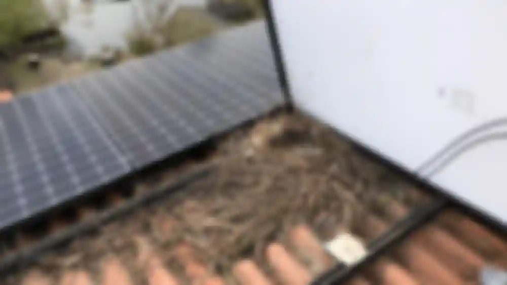 01 BirdBblocker_NestOnRoof.png