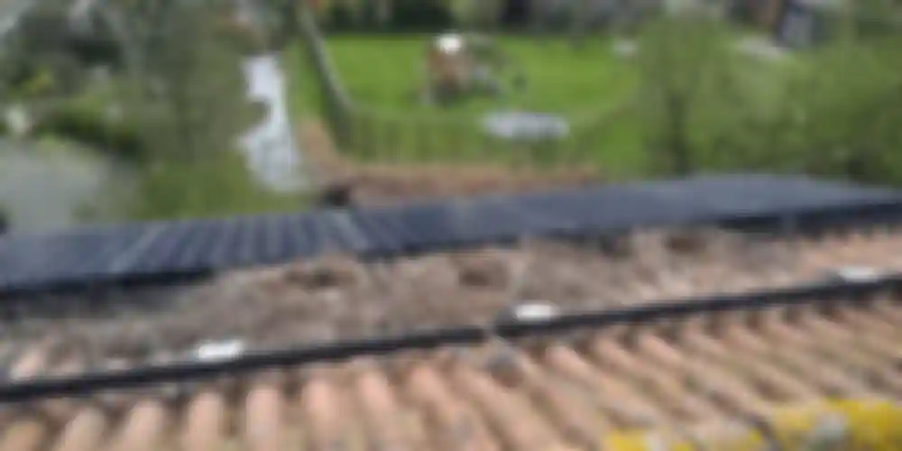 Bird nest you can prevent with birdblocker
