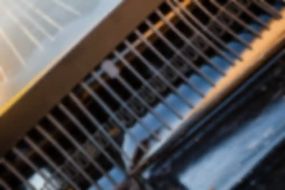BirdBlocker-on-roof.jpg