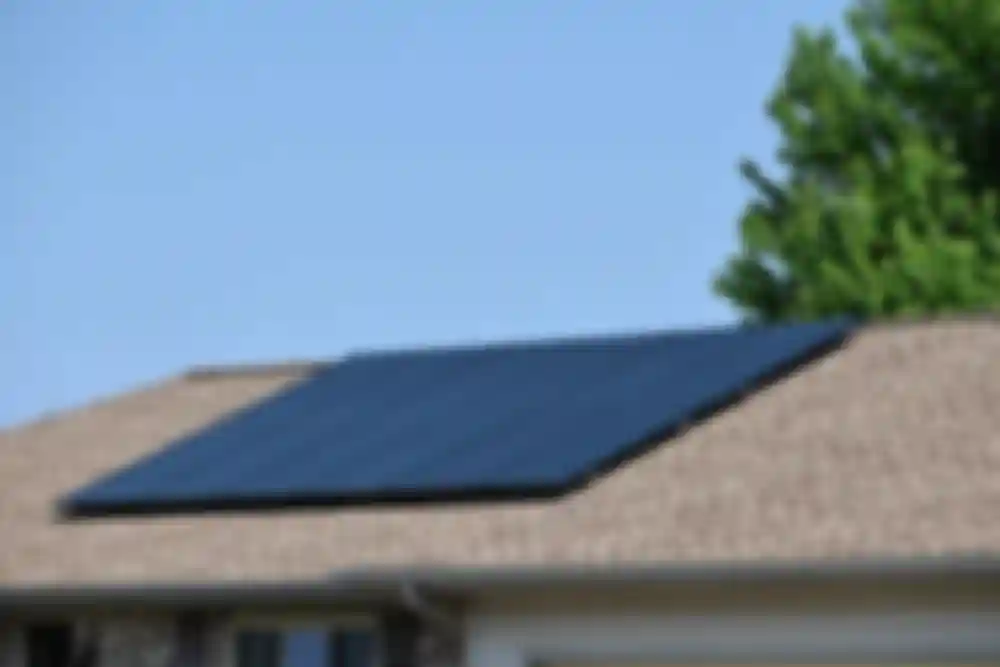 Shingle Roofs.jpg