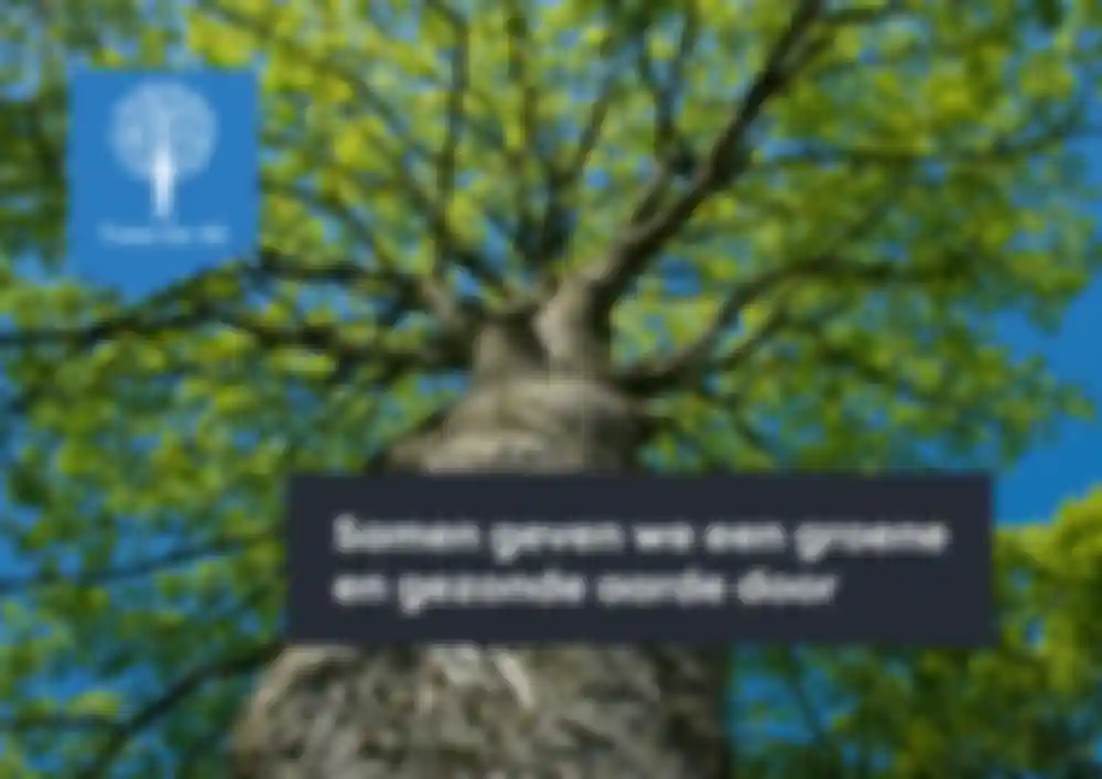 Our support for Trees for All reinforces this effort, as we actively contribute to reforestation projects that create more natural, sustainable nesting environments for birds.