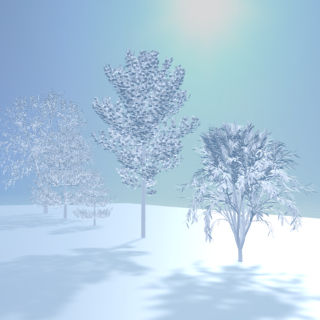 White trees picture