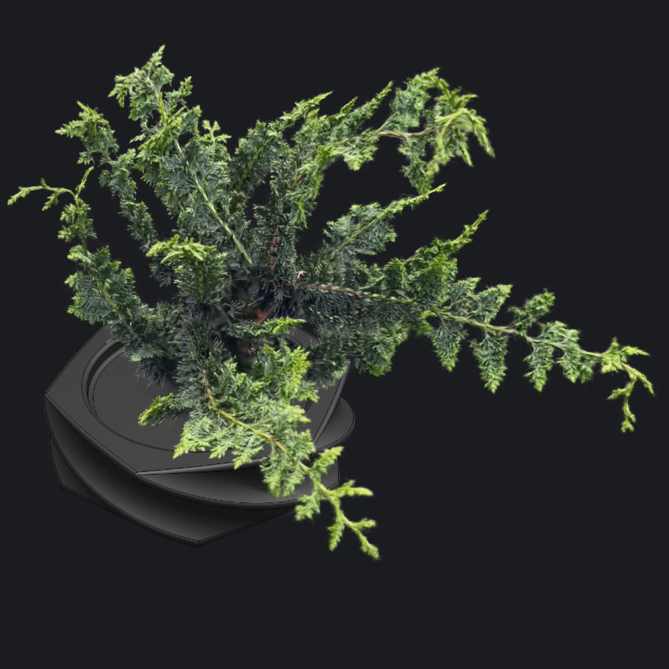 Plant Gaussian Splat 3D Model script details