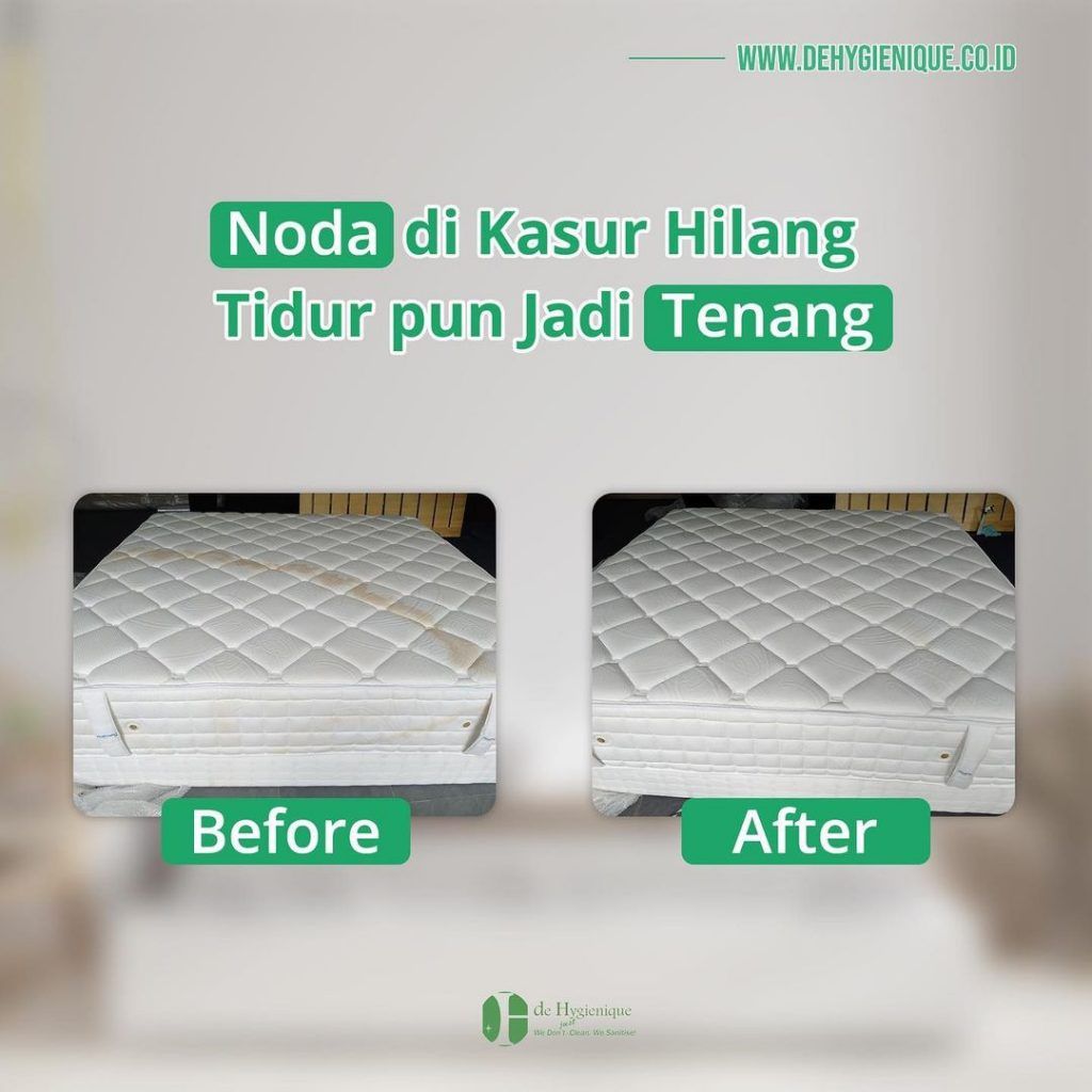 Proses Pembersihan Dehygienique
