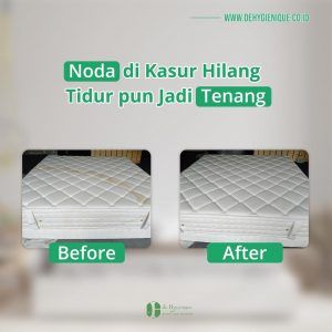 Proses Pembersihan Dehygienique
