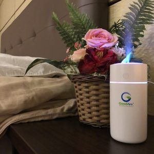 perbedaan diffuser dan humidifier